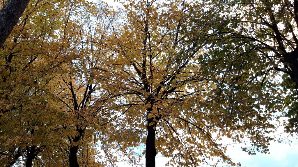 CastelGandolfoYellowSky1