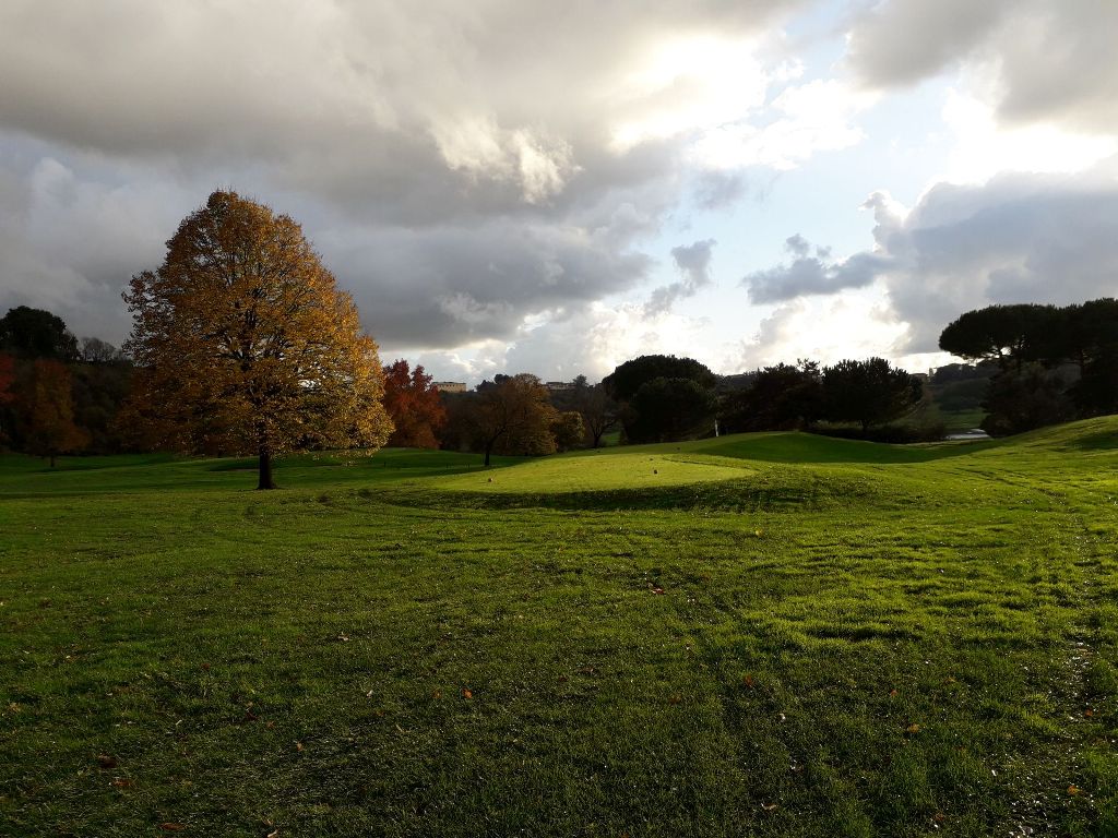 CastelGandolfoYellowTee1